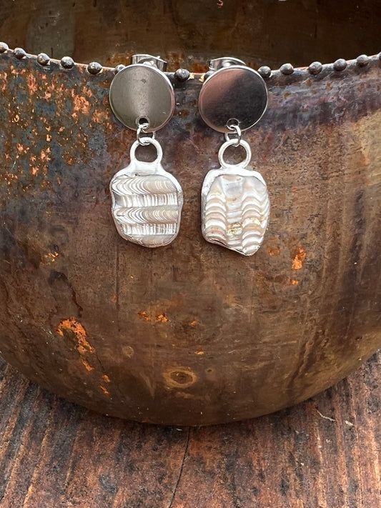 Tiffany Soldered Oregon Coast Anadara Shell Fossil Stud Earrings